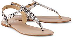 Another A Trend-Zehentrenner Another A Trend-Zehentrenner