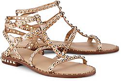 Ash Riemchen-Sandale Ash Riemchen-Sandale