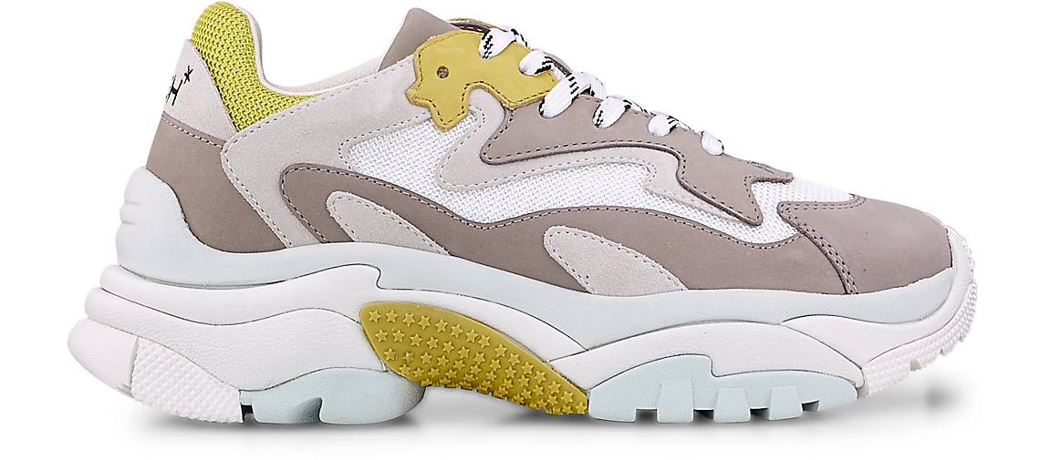 sneaker ash addict