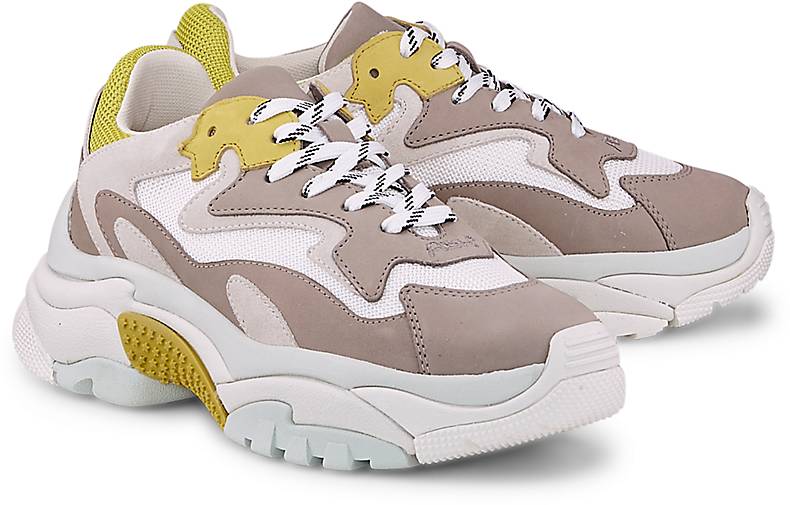 sneaker ash addict