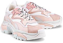 Ash Sneaker ADDICT Ash Sneaker ADDICT