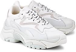 Ash Sneaker ADDICT Ash Sneaker ADDICT