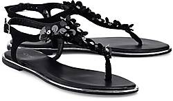 COX Trend-Dianette COX Trend-Dianette
