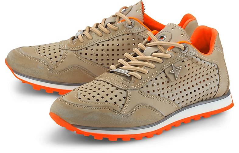 cetti sneaker online shop