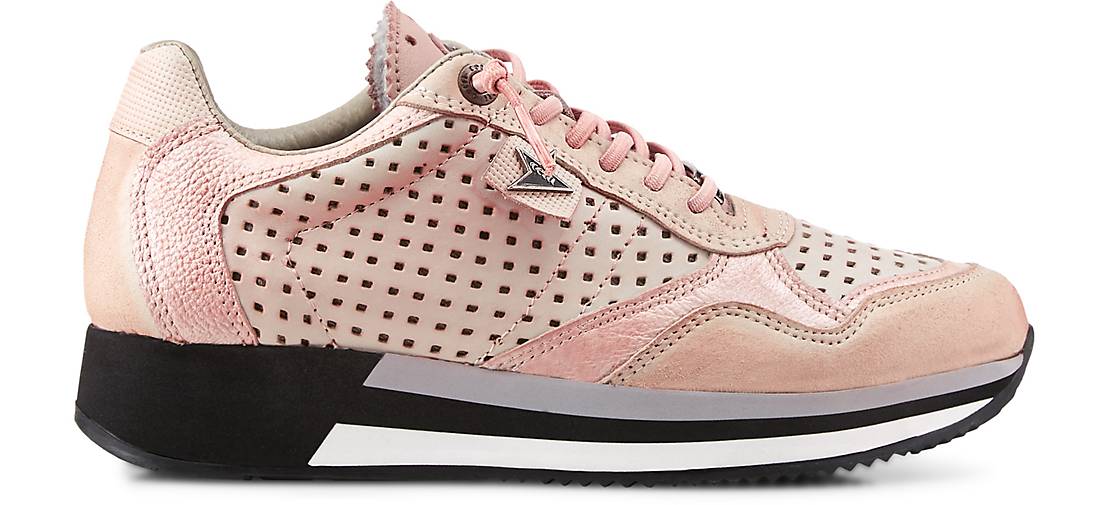cetti sneaker rosa