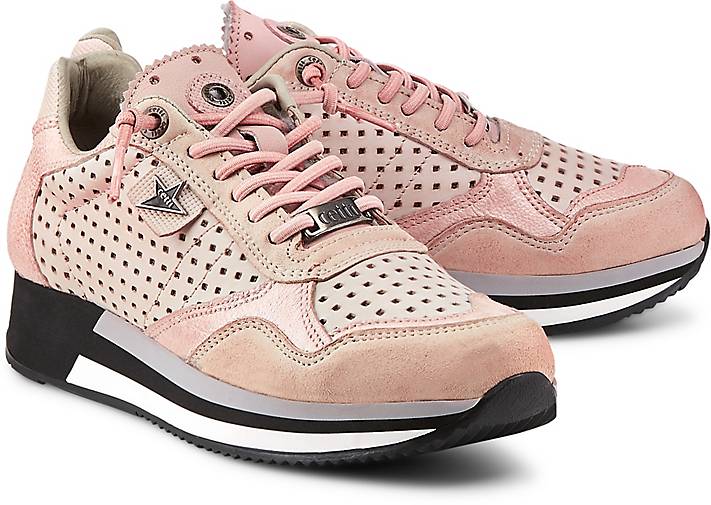 cetti sneaker rosa