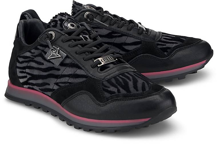 cetti sneaker online shop
