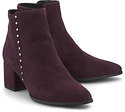 Cox Velours-Stiefelette Cox Velours-Stiefelette
