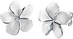 Elli Ohrringe Frangipani Blüte Natur Blume Emaille 925 Silber Elli Ohrringe Frangipani Blüte Natur Blume Emaille 925 Silber