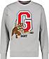 GANT Herren Sweatshirt D2 TIGER