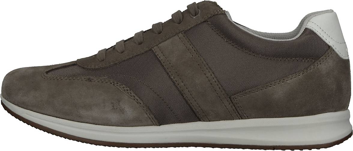 Geox Sneaker