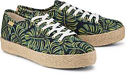 Keds TRIPLE KICK RIFLE Keds TRIPLE KICK RIFLE