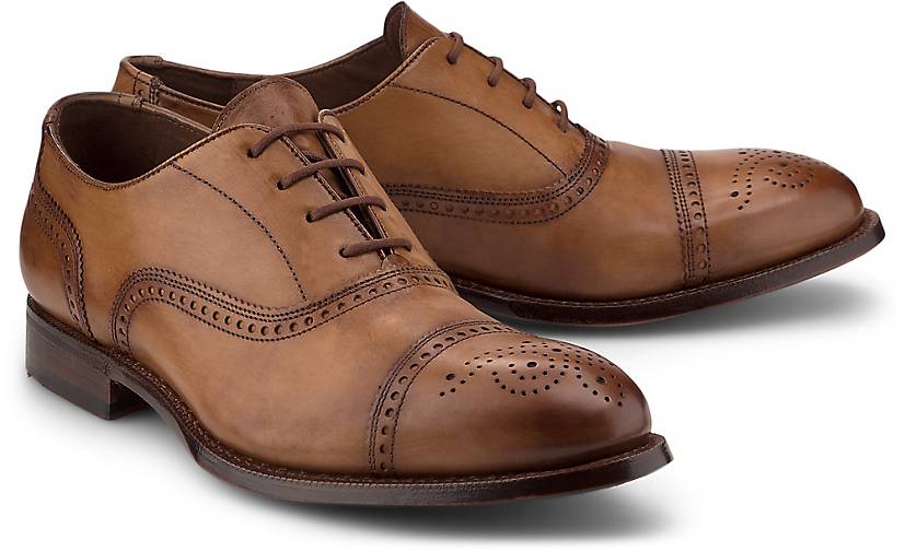 lloyd brogues