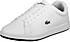 Lacoste Schuhe Carnaby Evo