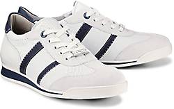 Lloyd Sneaker ARGON Lloyd Sneaker ARGON