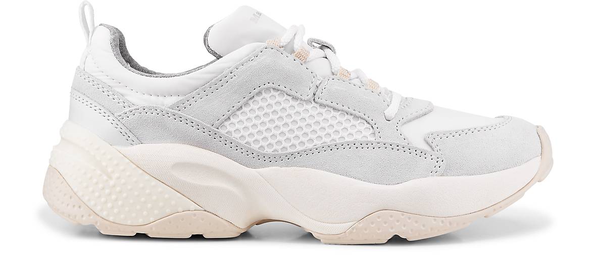 marco polo sneakers