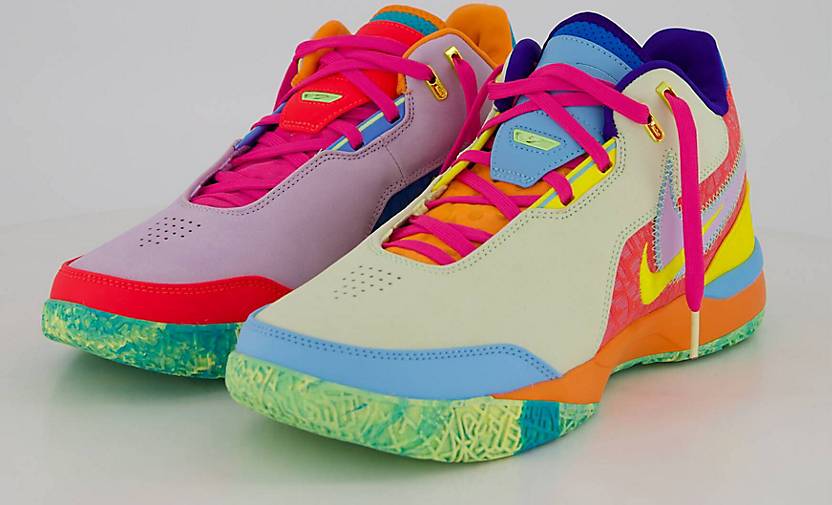 basketballschuhe nike lebron