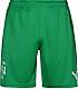 PUMA Neymar Copa Trainingsshorts Herren