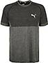 PUMA RTG EvoKNIT Basic Trainingsshirt Herren