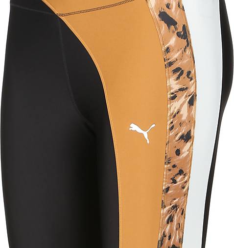 puma safari