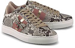 STOKTON Trend-Sneaker STOKTON Trend-Sneaker