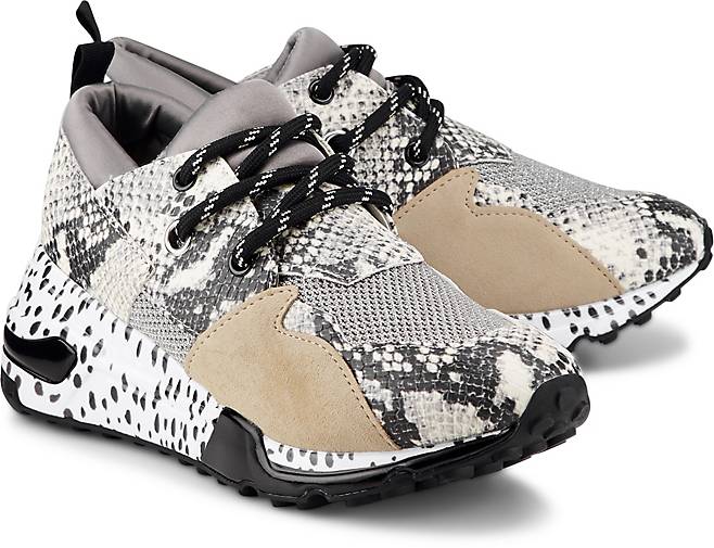 steve madden cliff amazon