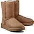 UGG Boots CLASSIC SHORT