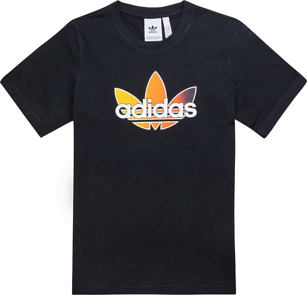 adidas Originals, T-Shirt Sport Graphic Tee in schwarz, Shirts für Herren