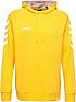 hummel HMLGO COTTON HOODIE