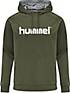 hummel HMLGO COTTON LOGO HOODIE