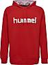 hummel HMLGO COTTON LOGO HOODIE